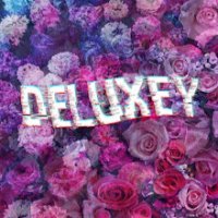 deLuxEy