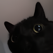 AlanKK